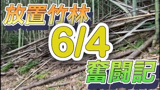 カメラ直撃！？　放置竹林奮闘記【サラリーマンが竹を切る日々】2024/06/04