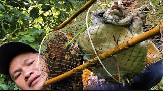 Bẩy Dính Thủy Quái Ở Dưới Đầm Lầy Lâu Năm Ở Đây Nhiều Lắm - The swamp monster
