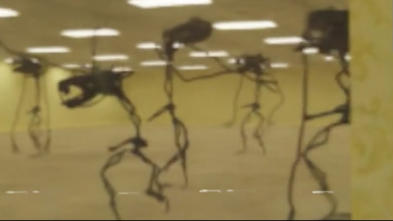 The backrooms in ohio YouTube