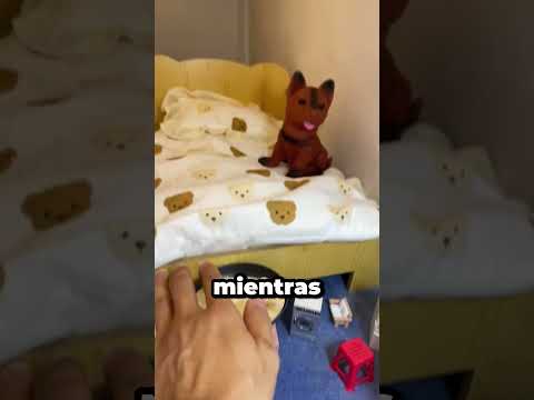 Viven En Una