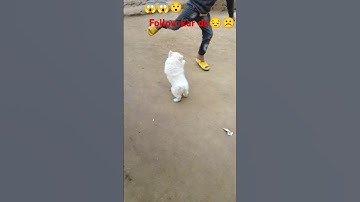 😱Koi#hame#bhi#follow#do#please😔☹️#youtub#com@ sabsakraib#gut