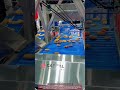 Automatic Sorting Machine Handling 25 Potatoes During Loading Work