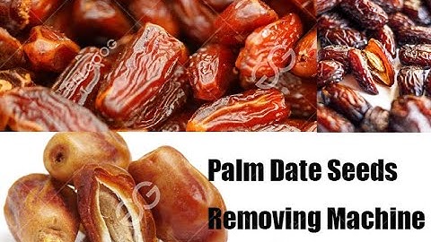 Industrial Use Palm Date Seeds Removing Machine #Date #Pitter
