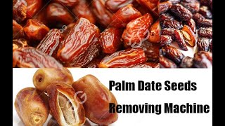 Industrial Use Palm Date Seeds Removing Machine #Date #Pitter