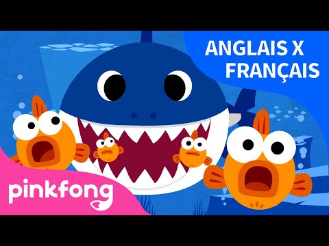 Pinkfong Bebe Requin Chansons Pour Enfants Youtube