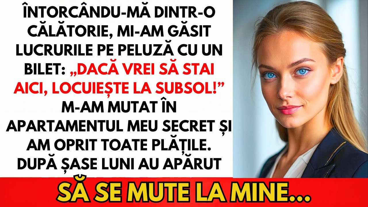 Întoarsă Din Călătorie, Lucruri Pe Iarbă — M-Am Mutat În Casa Secretă Și Am Anulat...