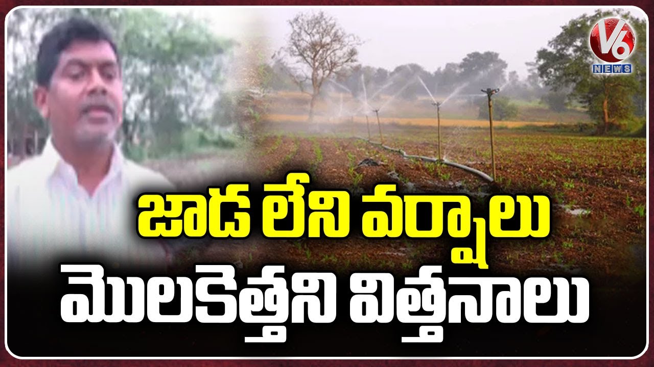 Farmers Worry as Seedlings Struggle to Grow in Absence of Rain ...