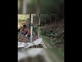 🏡 Building a Stunning Wooden Log Cabin Alone from Start to Finish | Full Timelapse Journey 🔨🌲