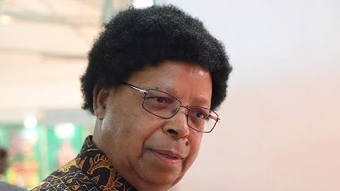 Jacob Mudenda files constitutional court papers opposing an attempt to block 2030 term extension.