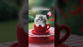 Cat in a Cup #crochet #ideas #cute #cat #catlover #cats #cats