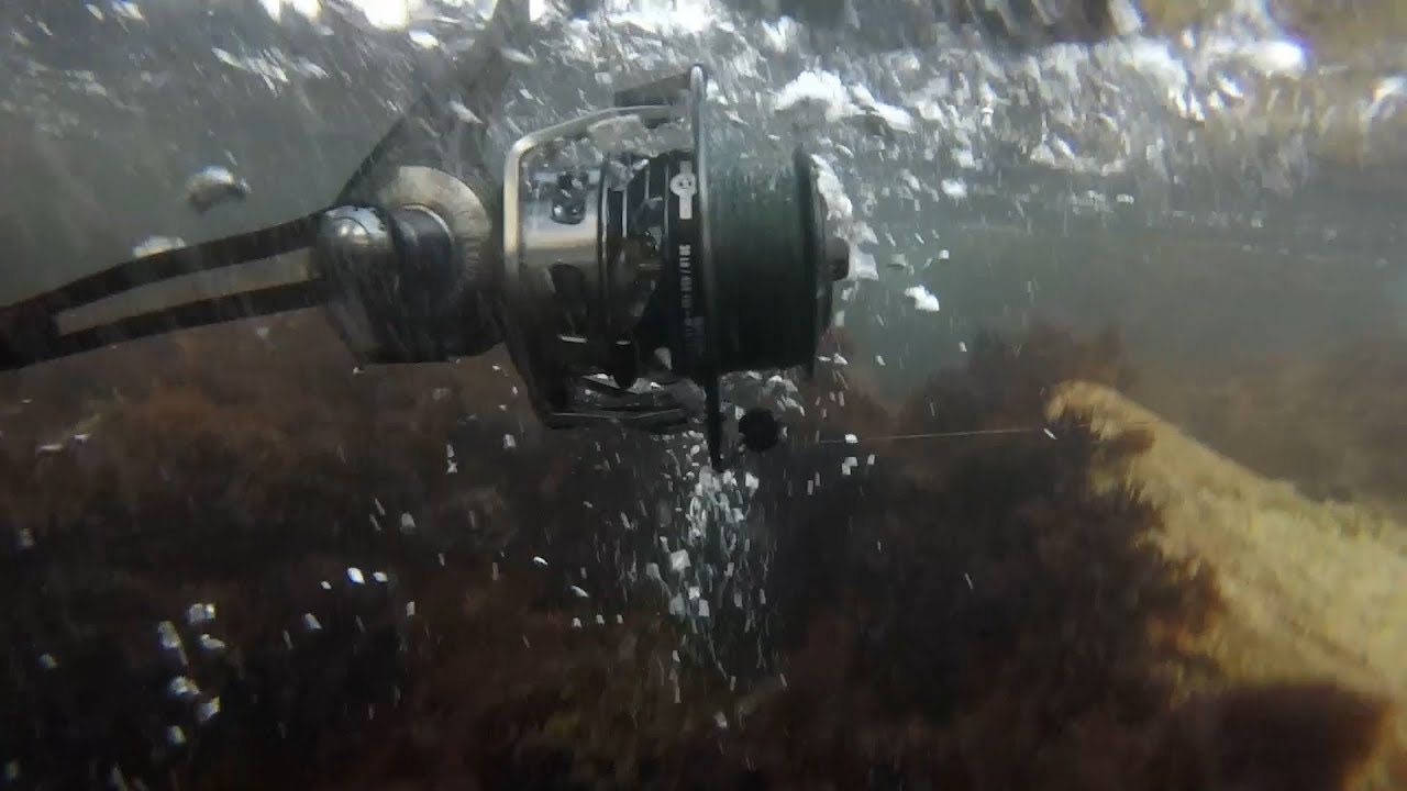 Japan tsunami shield Japan tsunami shield