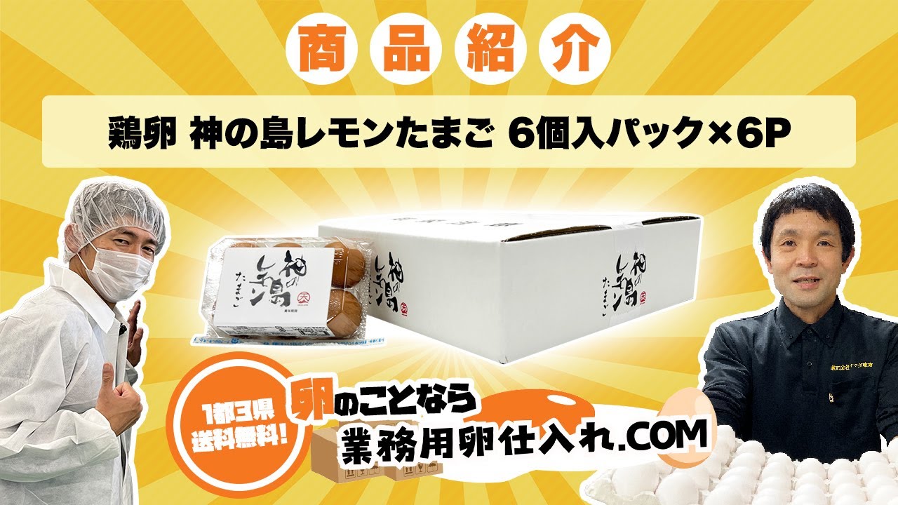 鶏卵 神の島レモンたまご 6個入パック×6P - 業務用卵仕入れなら『業務
