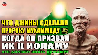 ПОЧЕМУ ПРОРОК ﷺ ПОШЁЛ В ЦАРСТВО ДЖИНОВ? ЧТО ОНИ СДЕЛАЛИ С ПРОРОКОМ, КАК ОН ПРИЗЫВАЛ ИХ К ИСЛАМУ?