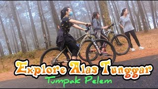 Download lagu BUKIT TUNGGAR SEJUK DAN ASRI