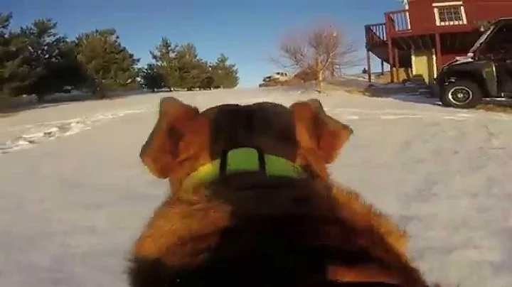 Fetch!