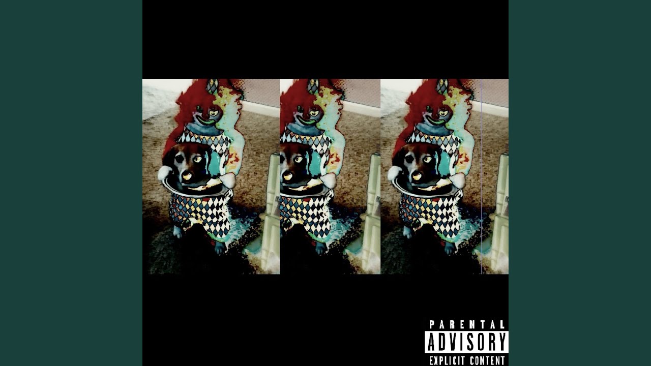 Pinecone - YouTube