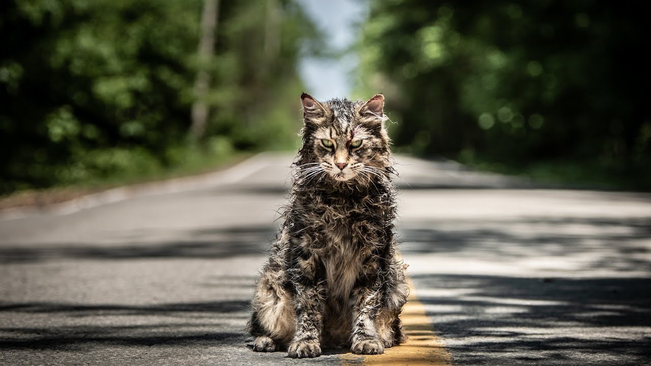 Pet Sematary Spoilers (and a backwards comparison featuring My Two Cents of Nonsense) hangouts on air alternative