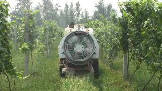 Orchard sprayer