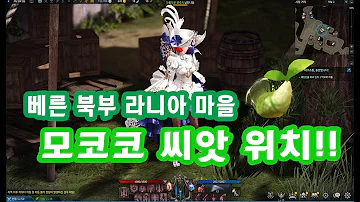 메마른 통로 모코코