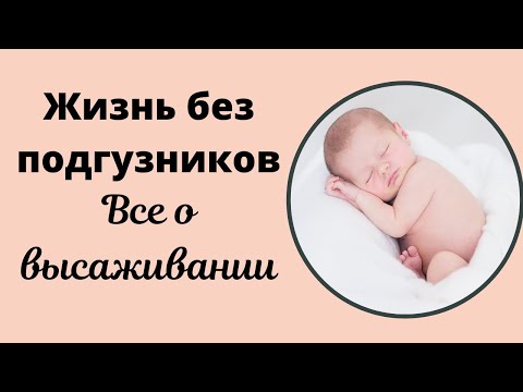 Высаживание: жизнь без подгузников. Практические советы