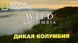 Путешествие: Дикая Колумбия - Serrania de la Macarena / National Geographic