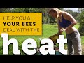 How to help your bees in the summer heat  what honeybees do when its hot out