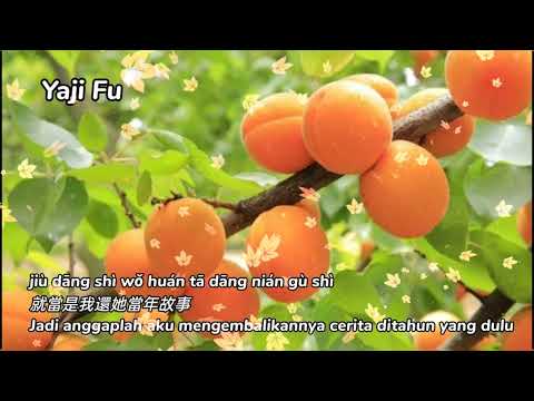 Luo Hua Man Di - Han Xiao Qian [ 落花滿地 - 韓小欠 ] DJ版 Lirik & Terjemahan Sub Indo