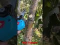 Wow That S Amazing Tiktok Shorts India Foryou China Fyp Newgadgets Usa Turkey Kannada Uk Wow That S Amazing Tiktok Shorts India Foryou China Fyp Newgadgets Usa Turkey Kannada Uk