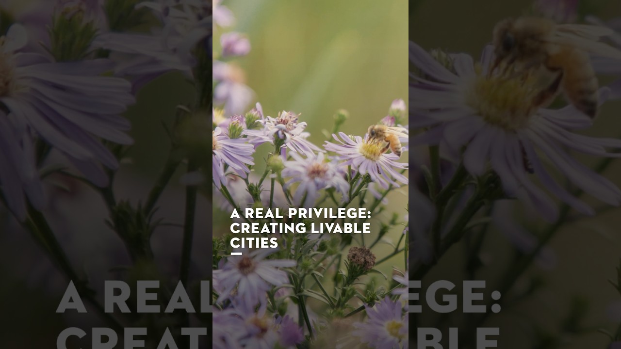Greening Cities | STIHL A Day With
