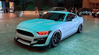 MOST WANTED 5.0 MUSTANG GT TERRORIZING THE STREETS