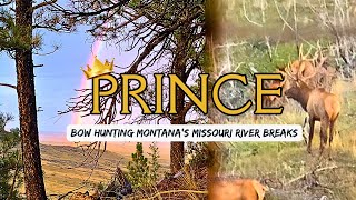 PRINCE | Missouri River Breaks | Public Land Bowhunting Montana
