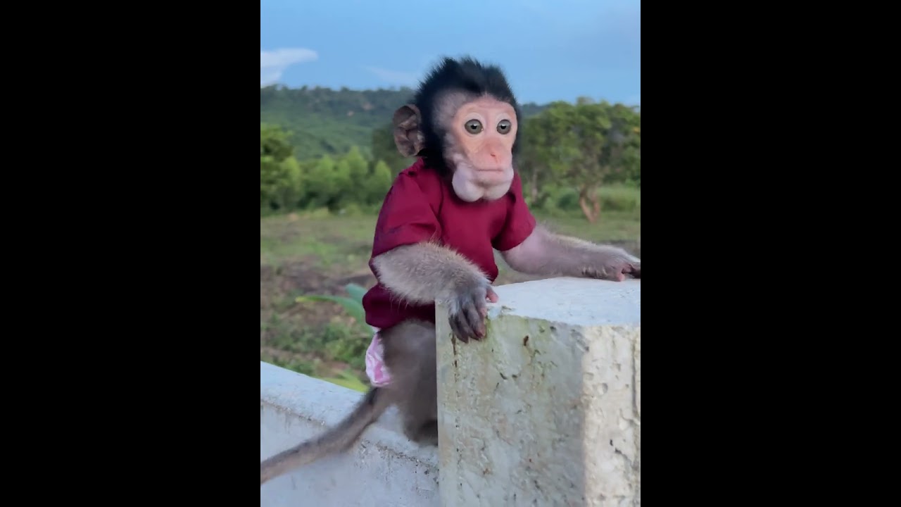 The Adorable Baby so Comfort sleeping In The small Hand Made Hammock