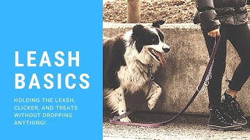 How to Hold Your Leash, Clicker, and Treats (Without Dropping Anything!)