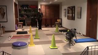 Movement Puzzle 14 ft 6 element 11 21 20