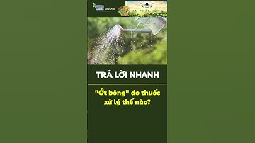 Ớt bỏng do thuốc xử lý thế nào? #shorts #apnhoamau