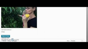 Reply to a thread in the D2L discussion board