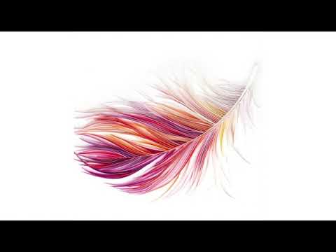 Vídeo: Pintura de plomes de Julia Thompson