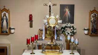 LIVE Eucharistic Adoration  Sisters of Divine Mercy