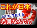 海外反応「日本の思いやり文化は見事」日本の鉄道と駅,駅員の優しさと思いやりに外国人が驚愕と感動!「僕も言いたい This is Japan」日本すごい！Japan News【ツバキ】
