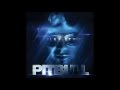 Pitbull My Kinda Girl Ft Nelly PLANET PIT mp3