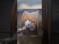 Abandoned 1963 Corvette Split Window Full Rebuild - From Rust to Masterpiece
