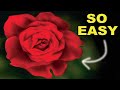 How to Airbrush a Rose for Beginners