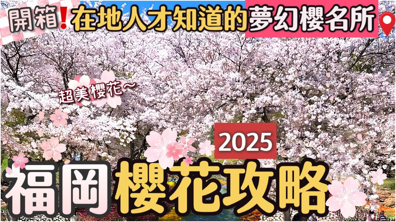 【2025福岡賞櫻攻略】夢幻櫻花秘境＆一日遊推薦，解鎖滿開絕景！