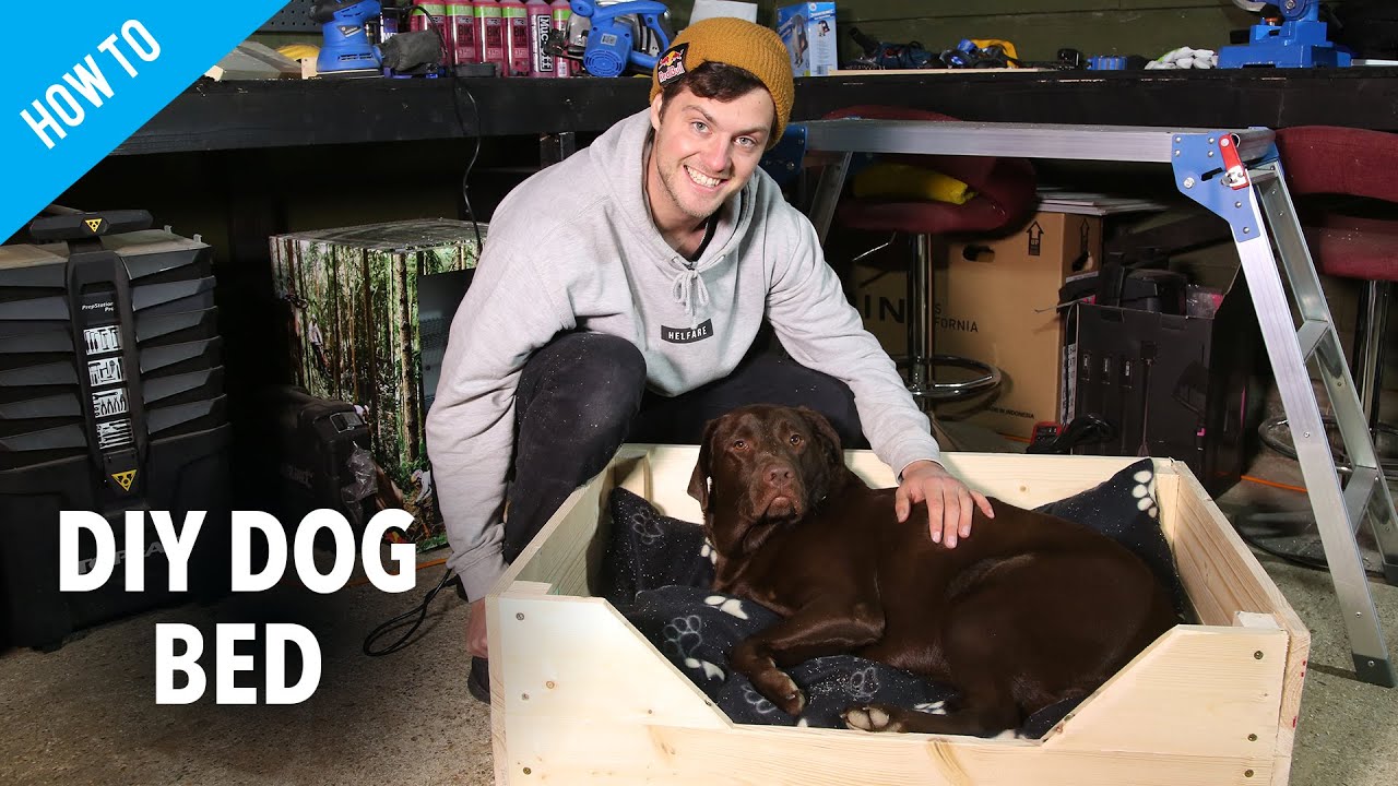 jones dog box