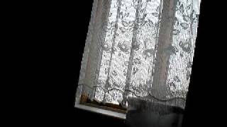 P1190053