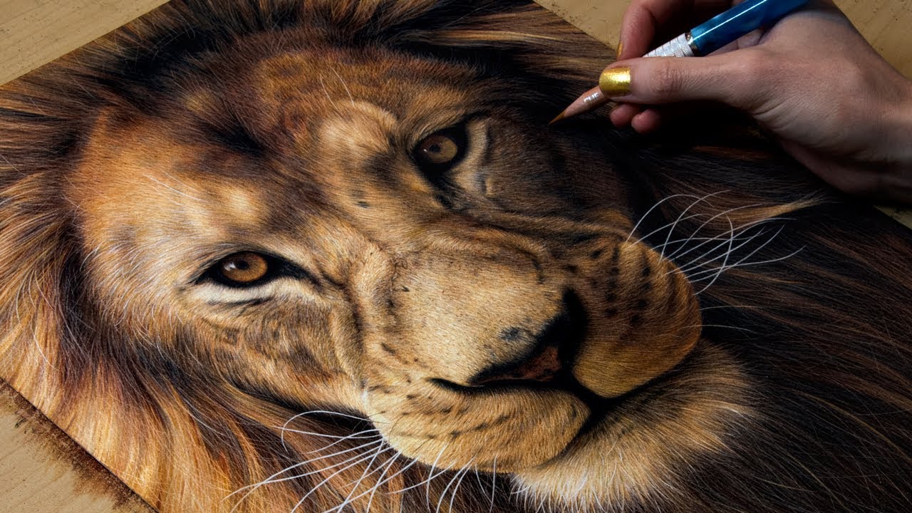 Drawing a Lion - YouTube