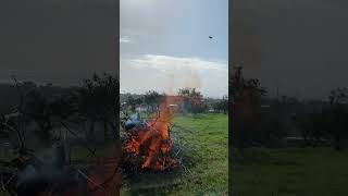 Трудничество в Абхазии.