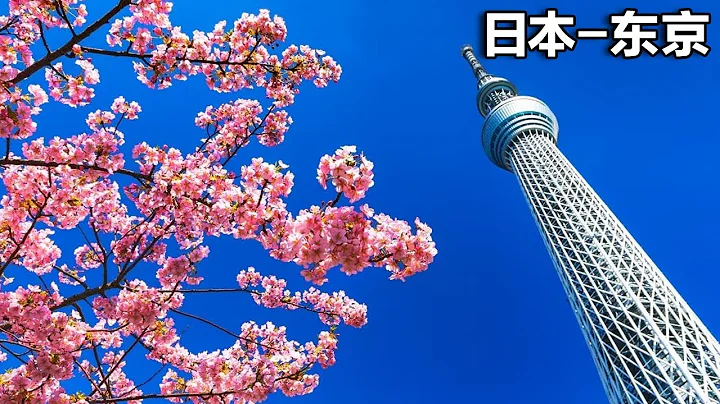打卡东京晴空塔，意外遇见樱花盛开，简直太美了！【行走世界的北京老刘】 - 天天要闻
