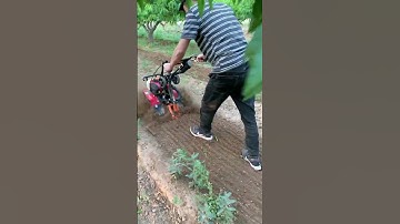 Mini Tiller Machine in Action | Powerful Farming Tool for Easy Soil Preparation part 923