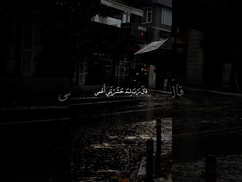 قال رب لم حشرتني أعمى وكنت وقد كنت بصيرا قران سوة طه تلاوة تلاوة خاشعة